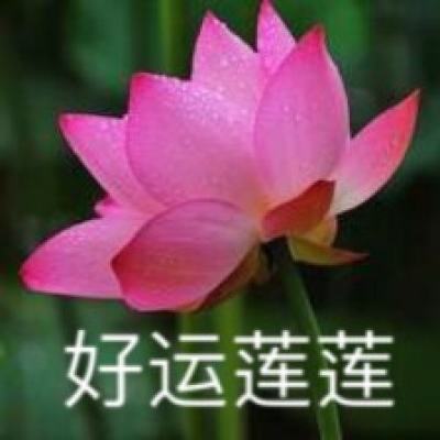 （文化中国行）从本体保护到价值阐释 北京长城保护迎“新生”